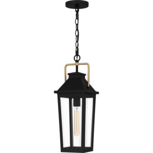 Buckley 1-Light Outdoor Hanging Lantern in Matte Black