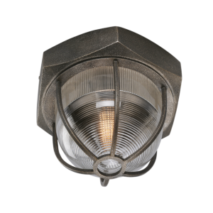 Troy Acme Ceiling Light in Aged Silver