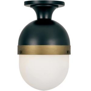 Brian Patrick Flynn for Crystorama Capsule 14 Inch Outdoor Ceiling Light in Black And Gold
