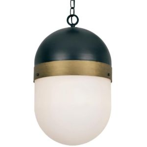 Brian Patrick Flynn for Crystorama Capsule 21 Inch Pendant Light in Black And Gold