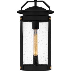 Clifton 1-Light Outdoor Hanging Lantern in Earth Black