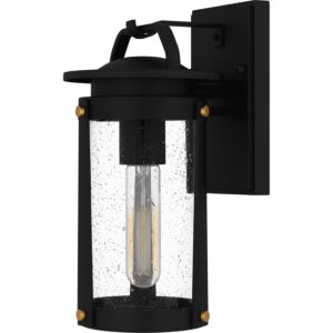 Clifton 1-Light Outdoor Wall Mount in Earth Black