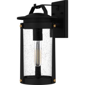 Clifton 1-Light Outdoor Lantern in Earth Black