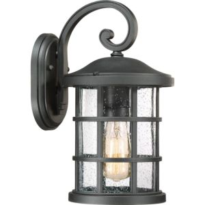 Quoizel Crusade 8 Inch Outdoor Wall Light in Earth Black