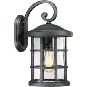 Quoizel Crusade 10 Inch Outdoor Wall Light in Earth Black
