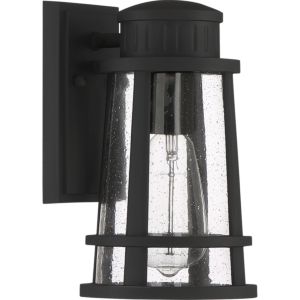Dunham 1-Light Outdoor Lantern in Earth Black