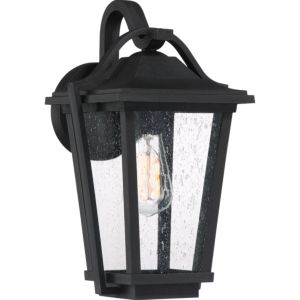 Quoizel Darius 9 Inch Outdoor Wall Light in Earth Black