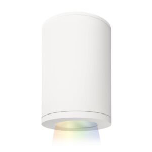 Tube Arch 1-Light LED Flush Mount Ceiling Light in White