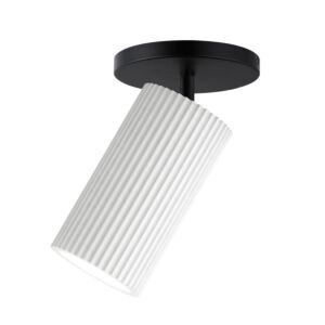 Pleat 1-Light LED Wall Sconce with Flush Mount in White  with  Black