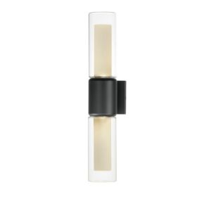 Dram 2-Light LED Outdoor Wall Sconce in Black