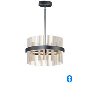 Chimes WiZ 2-Light LED Pendant in Black with Satin Nickel  with  Satin Brass