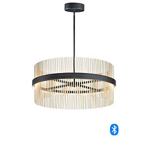 Chimes WiZ 2-Light LED Pendant in Black with Satin Nickel  with  Satin Brass