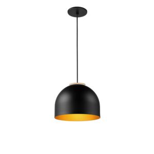 Foster 1-Light LED Pendant in Black with Gold