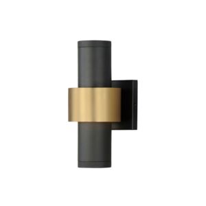 Reveal Outdoor 3-Light LED Outdoor Wall Sconce in Black with Gold