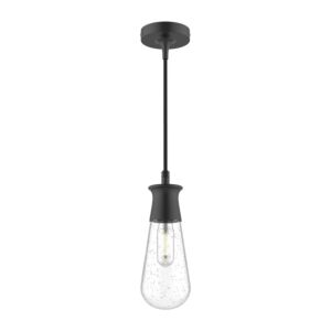 Marcel 1-Light Outdoor Pendant in Clear Bubble Glass with Textured Black