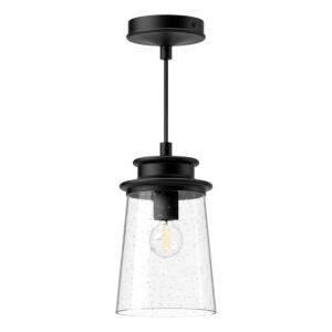Quincy 1-Light Exterior Pendant in Clear Bubble Glass with Textured Black