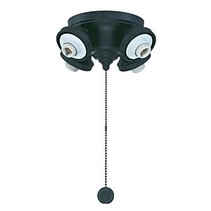 Fanimation Fitters 4 Light Ceiling Fan Light Kit in Black
