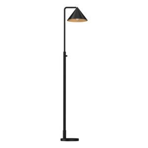 Remy 1-Light Floor Lamp in Matte Black