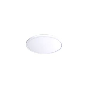 Round 1-Light LED Flush Mount Ceiling Light in White