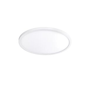Round 1-Light LED Flush Mount Ceiling Light in White