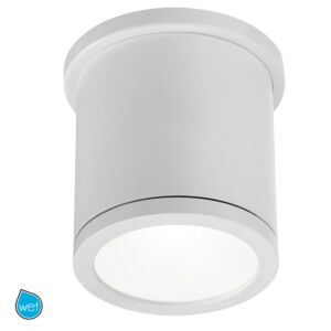 Tube 1-Light LED Flush Mount Ceiling Light in White