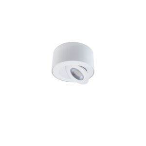 I Spy 1-Light LED Outdoor Flush Mount Ceiling Light in White
