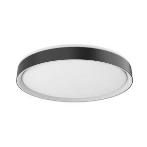 Essex LED Flush Mount in Black with White