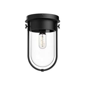Cyrus 1-Light Flush Mount in Matte Black with Clear Glass