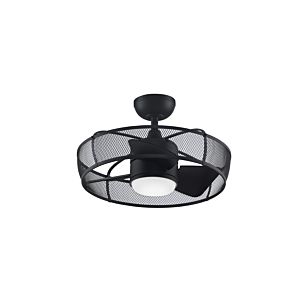 Fanimation Henry 20 Inch LED Indoor Ceiling Fan in Black with Opal Frosted Glass
