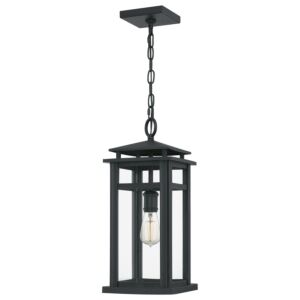 Granby 1-Light Outdoor Hanging Lantern in Earth Black