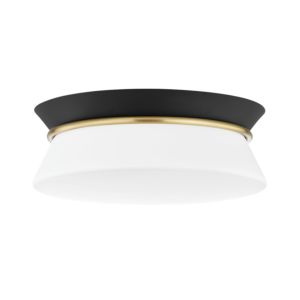 Mitzi Cath 2 Light Ceiling Light in Aged Brass and Black