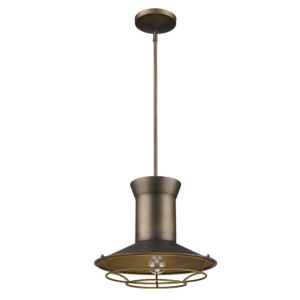 Newport 1-Light Tin Coated Pendant With Raw Brass Interior Shade And Louver