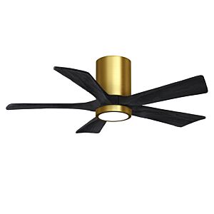 Irene 6-Speed DC 42" Ceiling Fan w/ Integrated Light Kit in Brushed Brass with Matte Black blades