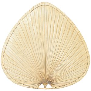 Fanimation Blades Palm 22 Inch Wide Oval Palm Blades in Natural