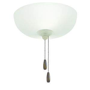 2-Light Ceiling Fan Light Kit in White