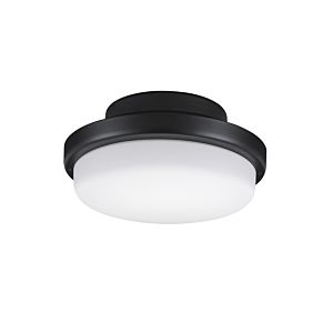 Fanimation TriAire Custom Indoor/Outdoor Ceiling Fan Light Kit in Black