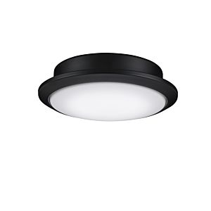  Wrap Custom Ceiling Fan Light Kit in Black