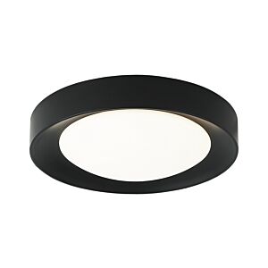 Essene 1-Light LED Ceiling Mount in Black