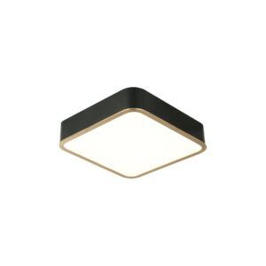 Ainslay 1-Light LED Ceiling Mount in Black