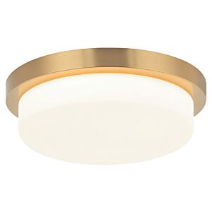 Durham 1-Light LED Ceiling Mount in Aged Gold Brass