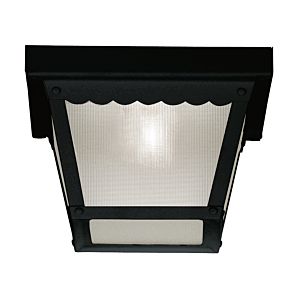 1-Light Outdoor Ceiling Light in Black