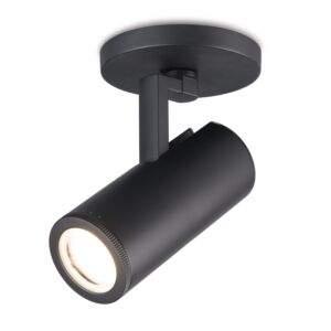 Paloma 1-Light LED Spot Light in Black