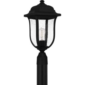 Mulberry 1-Light Outdoor Lantern in Matte Black