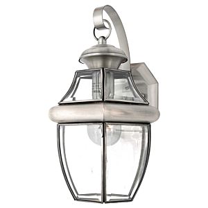 Quoizel Newbury 8 Inch Outdoor Hanging Light in Pewter