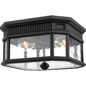 Feiss Cotswold Lane 11.5 Inch 2 Light Outdoor Ceiling Light in Black