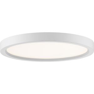 Quoizel Outskirts 11 Inch Ceiling Light in White Lustre