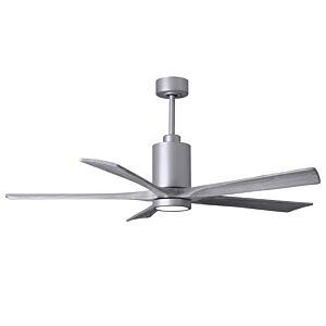 Patricia 1-Light 60" Ceiling Fan in Brushed Nickel