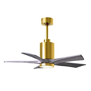 Patricia 6-Speed DC 42" Ceiling Fan w/ Integrated Light Kit in Brushed Brass with Barnwood Tone blades