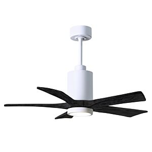 Patricia 6-Speed DC 42" Ceiling Fan w/ Integrated Light Kit in White with Matte Black blades