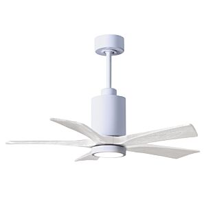 Patricia 6-Speed DC 42" Ceiling Fan w/ Integrated Light Kit in White with Matte White blades